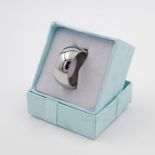 Luxe Zilverkleurige Ring van Chirurgisch Staal 316L