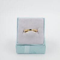 Verguld Chirurgisch Staal Midi-Ring